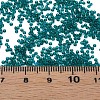 15/0 Transparent Czech Glass Seed Beads SEED-N004-004-03-6