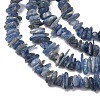 Natural Kyanite/Cyanite/Disthene Chip Beads Strands G-E271-78-3