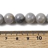Natural Gemstone Beads Strands G-L641-A01-03-5