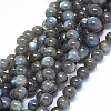 Natural Labradorite Beads Strands G-F602-04-8mm-01-1