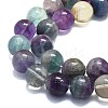 Natural Fluorite Beads Strands G-K245-A10-06-3