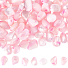 100Pcs Natural Trochid Shell/Trochus Shell Beads BSHE-SC0001-16B-1