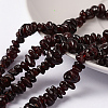 Natural Garnet Beads Strands F065-1