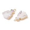 Natural Trochous Shell Pendants SHEL-P017-10G-2