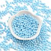 Baking Paint Glass Seed Beads X1-SEED-A032-02L-2
