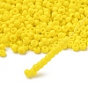 TOHO 6/0 Round Beads X-SEED-TR06-0042F-2