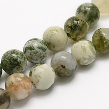 Natural Tree Agate Beads Strands G-G735-02-8mm