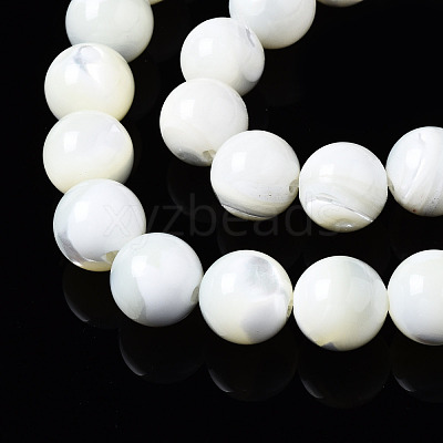 Natural Trochid Shell/Trochus Shell Beads Strands SSHEL-S266-023A-04-1