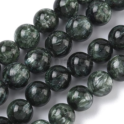 Natural Seraphinite Beads Strands G-C270-O01-11-1