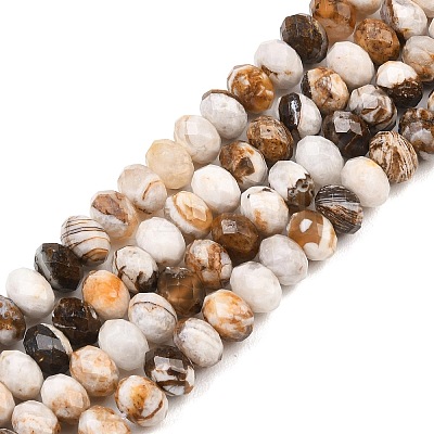 Natural Petrified Wood Beads Strands G-C259-A29-5x8mm-1