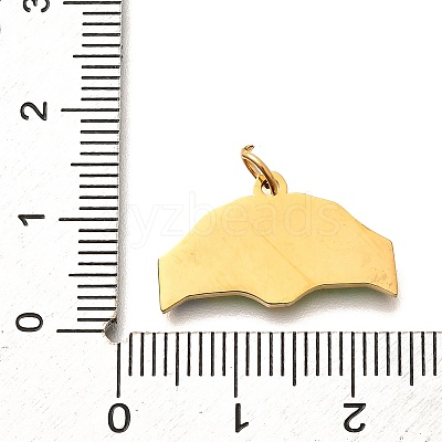 Pride 304 Stainless Steel Enamel Pendants LS-STAS-B079-01G-10-1