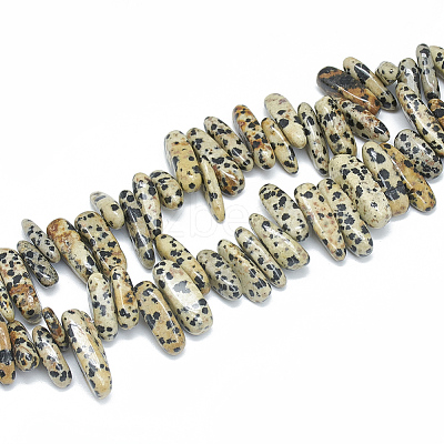 Natural Dalmatian Jasper Beads Strands G-S312-09-1