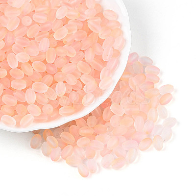 Frosted Glass Seed Beads SEED-N008-05A-1