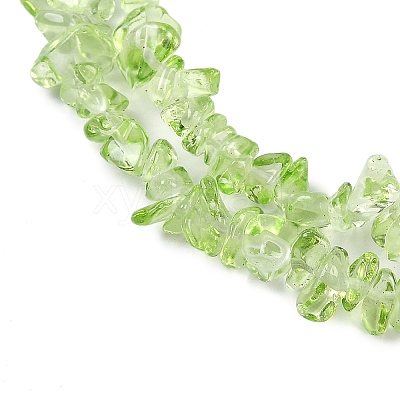 Transparent Glass Beads Strands GLAA-Z009-01H-1