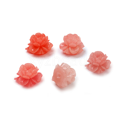 Shell Beads CORA-D032-16-1