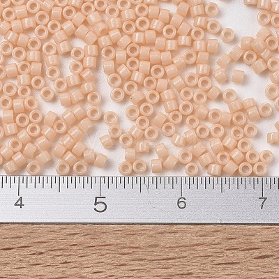 MIYUKI Delica Beads SEED-X0054-DB2351-1