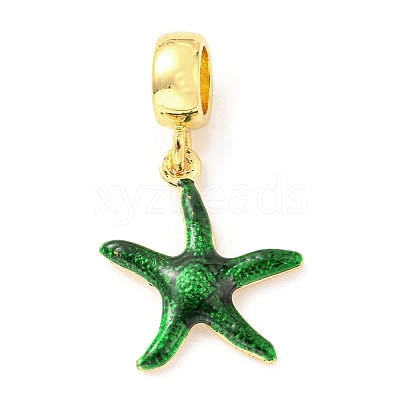 Brass Enamel European Dangle Charms KK-M247-11G-06-1