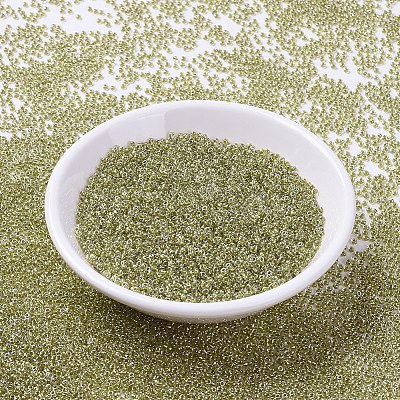 MIYUKI Round Rocailles Beads X-SEED-G007-RR1125-1