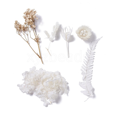 Dried Flowers DIY-D052-04-1