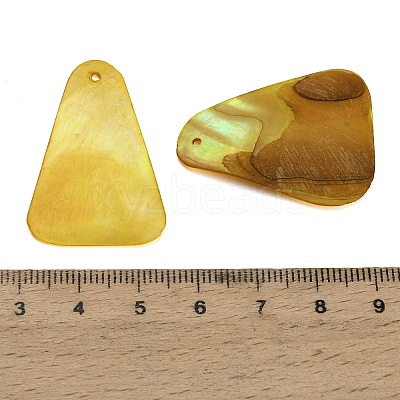 Dyed Natural Shell Pendants SHEL-C010-13D-1