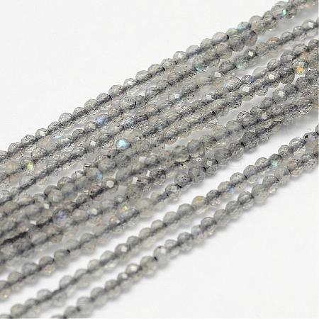 Natural Labradorite Bead Strands G-G936-2mm-18-1