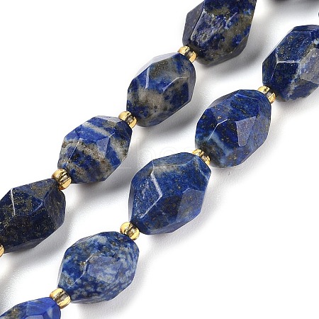 Natural Lapis Lazuli Beads Strands G-P541-A01-05-1