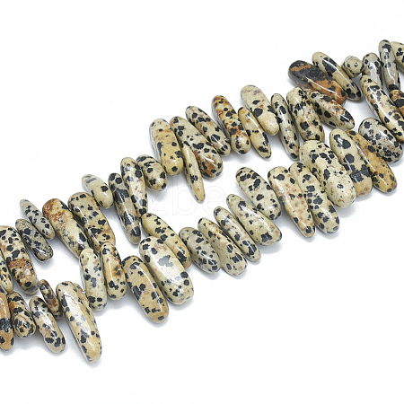 Natural Dalmatian Jasper Beads Strands G-S312-09-1