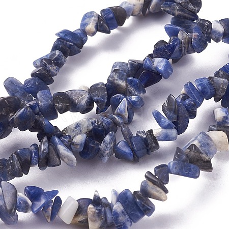 Natural Sodalite Beads Strands X-G-G782-31-1