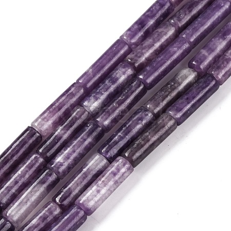 Natural Lepidolite/Purple Mica Stone Beads Strands G-NH0001-E04-01-1