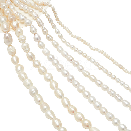  6 Strands 6 Styles Natural Cultured Freshwater Pearl Beads Strands PEAR-NB0002-36-1