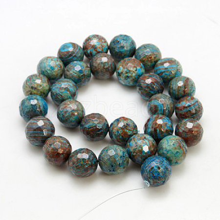 Natural Chrysocolla Beads Strands G-G099-F12mm-35-1