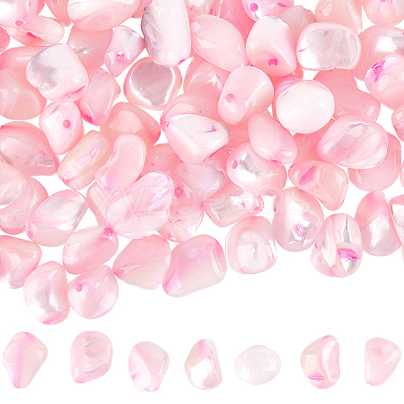 100Pcs Natural Trochid Shell/Trochus Shell Beads BSHE-SC0001-16B-1