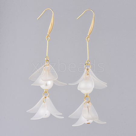 Acrylic Dangle Earrings EJEW-JE03626-1