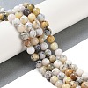 Natural White African Opal Beads Strands G-E472-02-8mmC-5