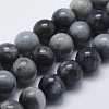 Natural Hawk's Eye Beads Strands G-K240-02-1