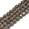 Natural Brown Snowflake Obsidian Beads Strands G-S300-101-6MM-01-1