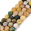 Natural Weathered Agate Beads Strands G-Q606-42B-D03-2