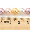 Electroplated Shell Pearl Beads Strands SHEL-F008-03B-05-4