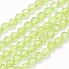 Natural Prehnite Beads Strands G-O166-19-2mm-1