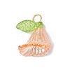 6Pcs Transparent Acrylic Pendants PALLOY-JF03288-01-3