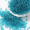 15/0 Glass Seed Beads SEED-J013-F15-19-1