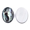 Natural Abalone Shell/Paua Shell Cabochons X-SSHEL-N034-73B-01-2