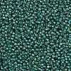 TOHO Round Seed Beads X-SEED-TR11-1833-2