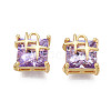 Brass Inlaid Cubic Zirconia Charms KK-N231-291C-1