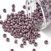 TOHO 6/0 Round Beads SEED-TR06-0052-1