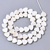 Natural Freshwater Shell Beads Strands X-SHEL-N026-51B-01-2