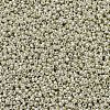 MIYUKI Round Rocailles Beads SEED-G007-RR0181-4