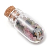 3Pcs Glass Wishing Bottle Decorations PALLOY-JF03096-4