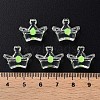 Transparent Acrylic Beads LS-MACR-S373-105-B06-5