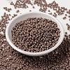 MIYUKI Round Rocailles Beads SEED-X0055-RR4455-2